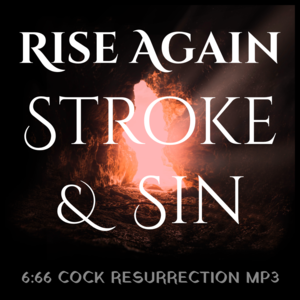 Stormy Petrelle – Rise Again  Stroke & Sin